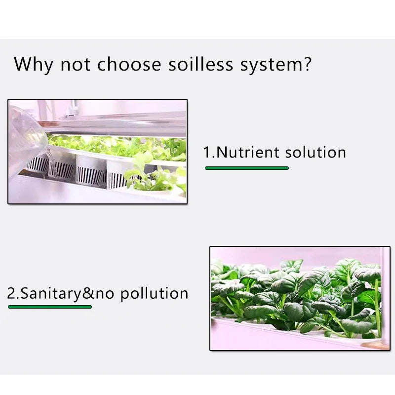 Benefits of growing herbs and vegetables with a soilless hydroponic system